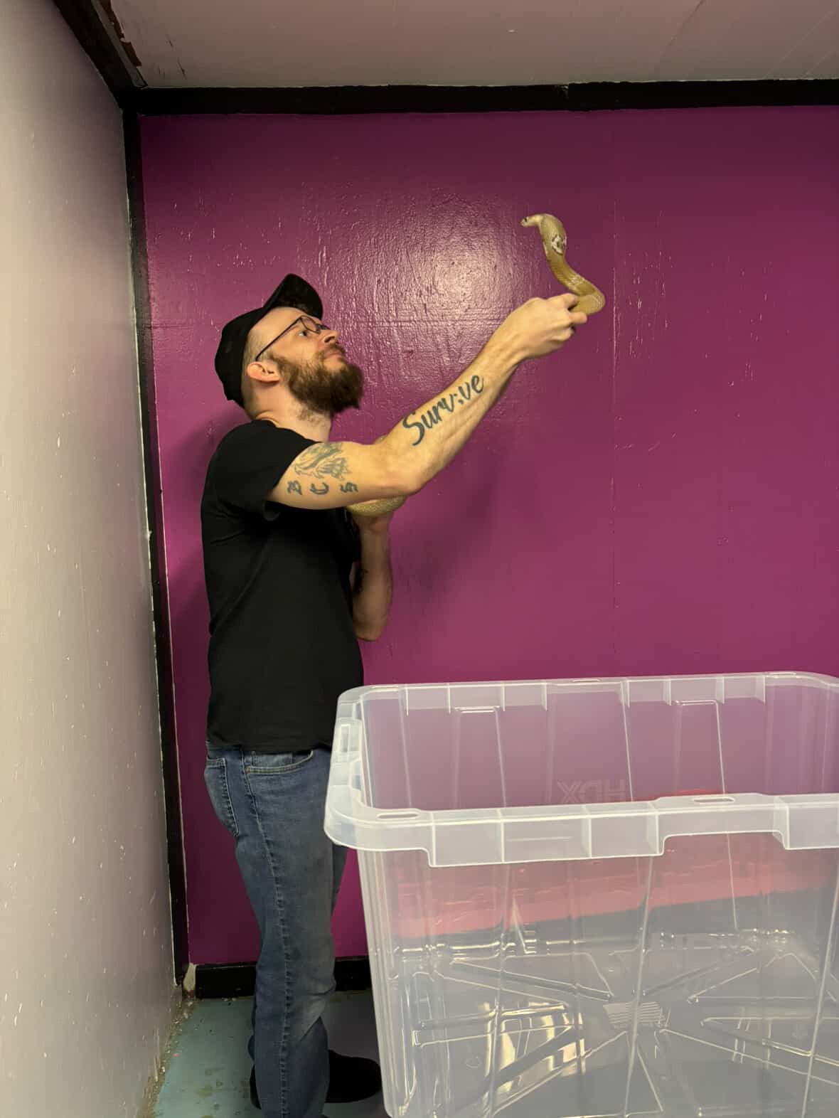 Joey demostrating Lilith the cobra.